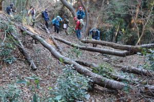 �ԑ��̖x�؂����w