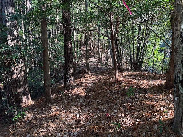 ���̉��ɍL��Ȓ��ԋȗւ�����