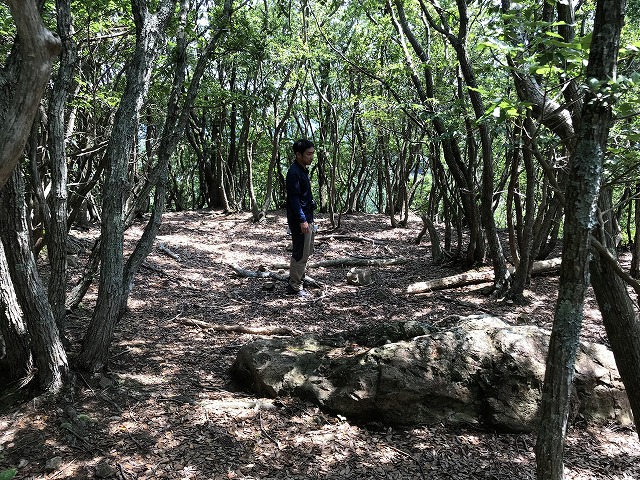 �R��̖{�ȗւ̍핽�͊����B��y�ۂ���ㅂ��Ă���