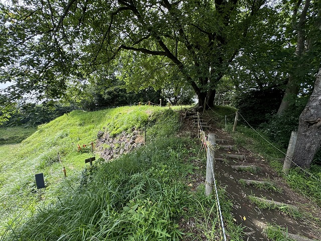 �E��A�`�V���ւ͊K�i����������Ă���B