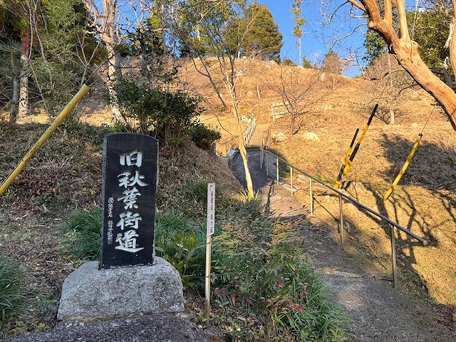 �O�q��̑Ί݂Ɍ����ւ̏H�t�X���o���������