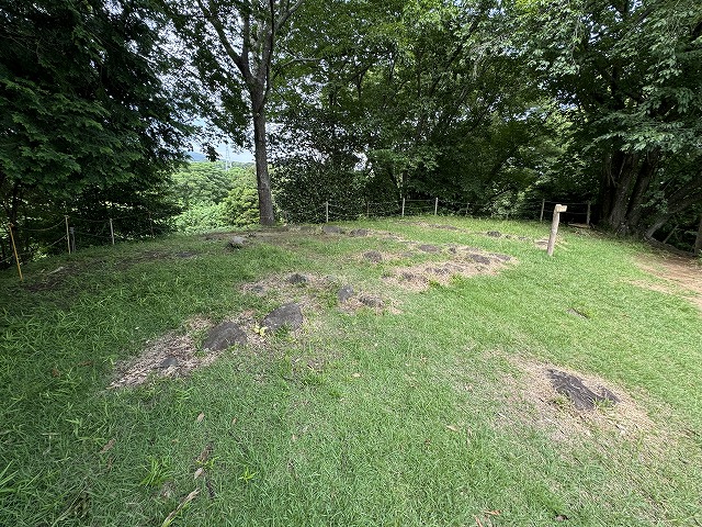 �`�V���ՂɎc�錚�����̑b�Η�B