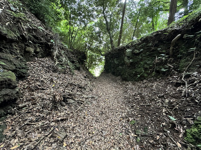 ���x���[�͌Ռ���ɊJ�����Ă���B