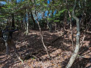 <div><span style="font-size:1em;"><span style="font-family:'M PLUS 1p',sans-serif;"><span style="font-weight:400;">��{�R ���m�̈�\�̌Ռ�</span></span></span></div>