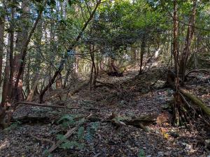 <div><span style="font-weight:400;"><span style="font-size:1em;"><span style="font-family:"������",serif"><span style="font-family:'M PLUS 1p',sans-serif;">��V���R�@���Ւn</span>�@</span></span></span></div>