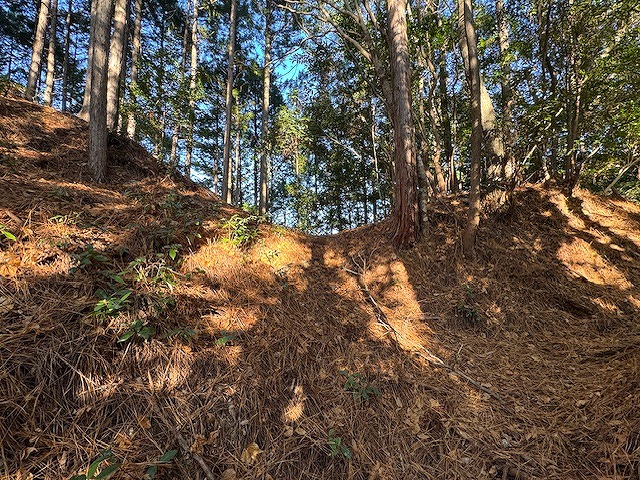 ��s�A�n�o�̊Ԃɂ���x��